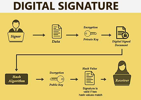Saki Digital Services